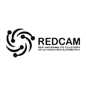 redcam_Mesa de trabajo 1